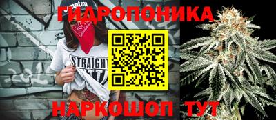 скорость Заволжье