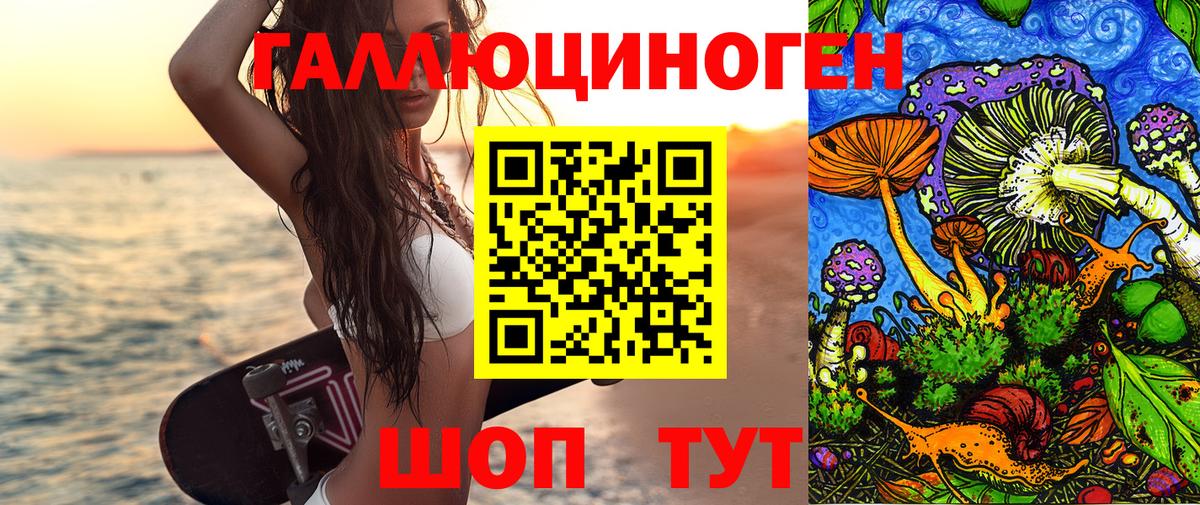 Псилоцибиновые грибы мицелий Мурино